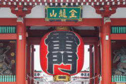 �����T�|�[�g�����ό���@�󑐊E�G